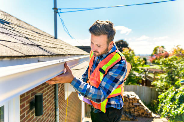 Best Roof Moss and Algae Removal  in Stepney, CT